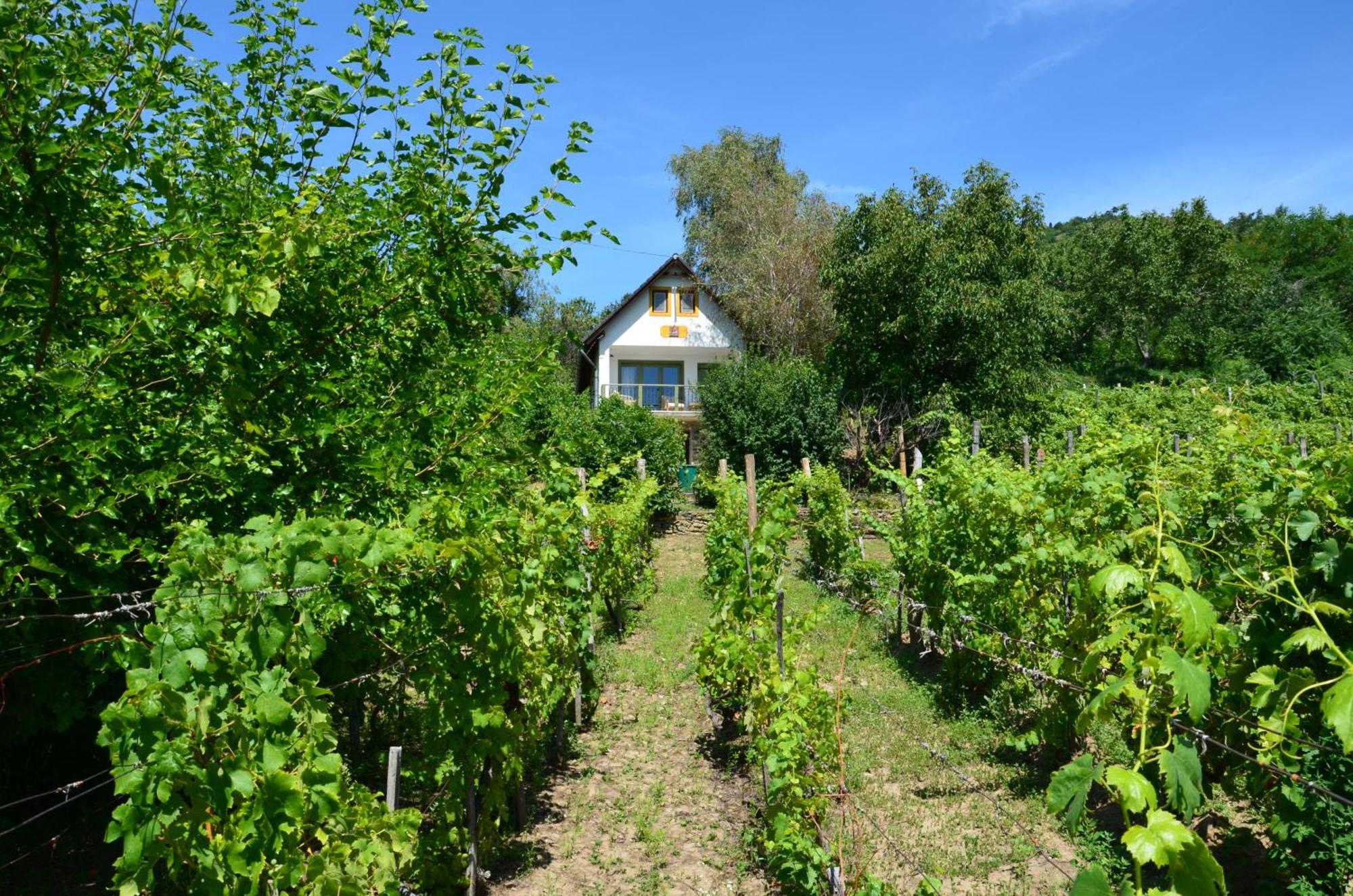 Grand Cru 3. Vendeghaz Villa Hegymagas Exterior photo